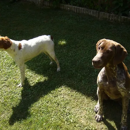 Le Jardin Ombrage *